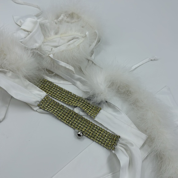 Victoria’s Secret Sexy Little Fantasies Kitty Costume Hard to Find RARE - Picture 12 of 14